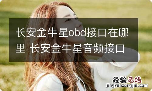 长安金牛星obd接口在哪里 长安金牛星音频接口在哪