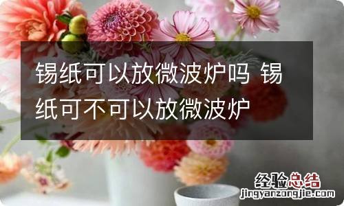锡纸可以放微波炉吗 锡纸可不可以放微波炉