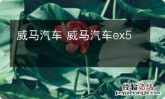 威马汽车 威马汽车ex5