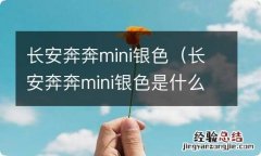 长安奔奔mini银色是什么银 长安奔奔mini银色