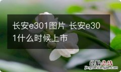 长安e301图片 长安e301什么时候上市