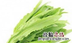 油麦菜热量 油麦菜热量多少