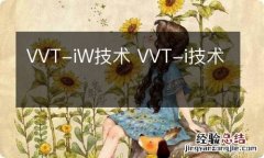 VVT-iW技术 VVT-i技术