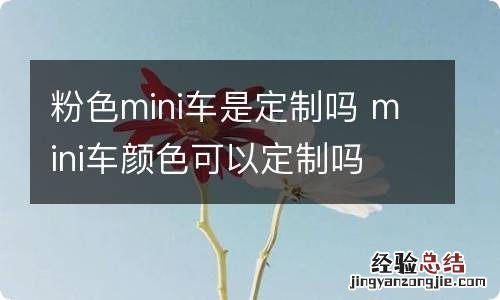 粉色mini车是定制吗 mini车颜色可以定制吗