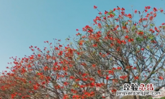 五一劳动节祝福语 五一劳动节祝福语 五一祝福