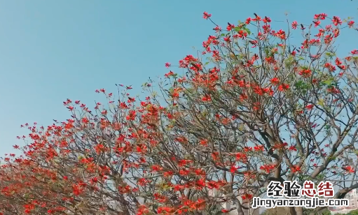 五一劳动节祝福语 五一劳动节祝福语 五一祝福