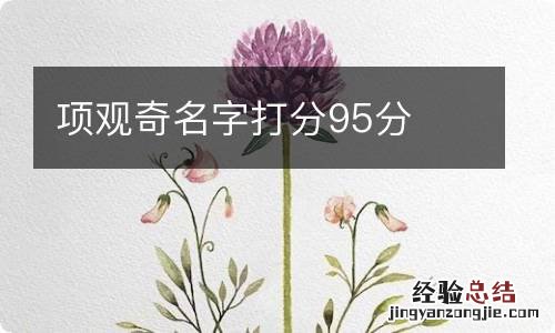 项观奇名字打分95分