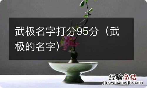 武极的名字 武极名字打分95分