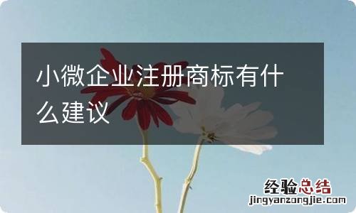 小微企业注册商标有什么建议