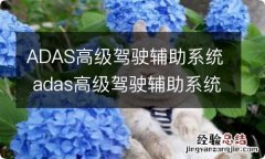 ADAS高级驾驶辅助系统 adas高级驾驶辅助系统评价员