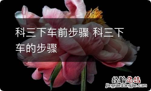 科三下车前步骤 科三下车的步骤