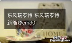 东风瑞泰特 东风瑞泰特新能源em30