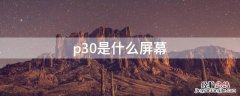 p30是什么屏幕? p30是什么屏幕