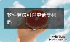 软件算法可以申请专利吗