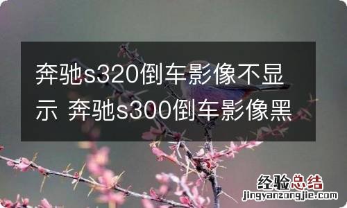 奔驰s320倒车影像不显示 奔驰s300倒车影像黑屏