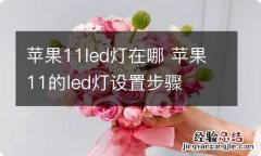 苹果11led灯在哪 苹果11的led灯设置步骤