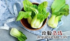 泡沫箱都能种什么菜 泡沫箱能种那些菜