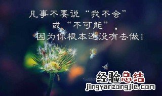 女人正能量美丽的短句 女人正能量美丽的短句早安说说