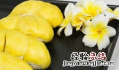 榴莲花的花语 榴莲花花语是什么