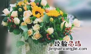 代表友谊的花 代表友谊的花语是什么花