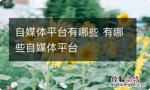 自媒体平台有哪些 有哪些自媒体平台
