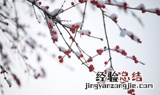 大雪节气的农事活动 小雪节气的农事活动