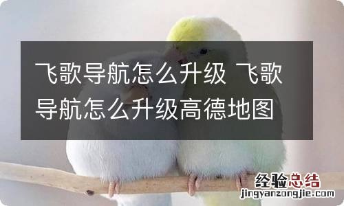 飞歌导航怎么升级 飞歌导航怎么升级高德地图