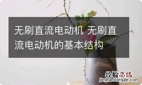 无刷直流电动机 无刷直流电动机的基本结构