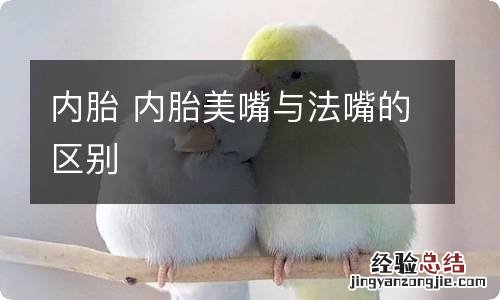 内胎 内胎美嘴与法嘴的区别