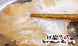 鱼鳍是哪个部位图片 鱼翅是什么鱼的哪个部位