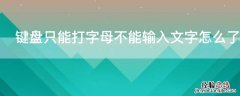 键盘可以输入字母无法输入文字 键盘只能打字母不能输入文字怎么了