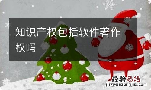 知识产权包括软件著作权吗