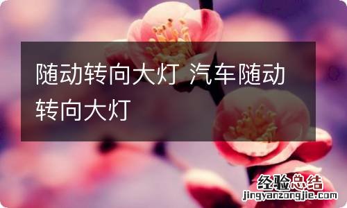 随动转向大灯 汽车随动转向大灯