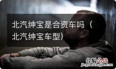 北汽绅宝车型 北汽绅宝是合资车吗