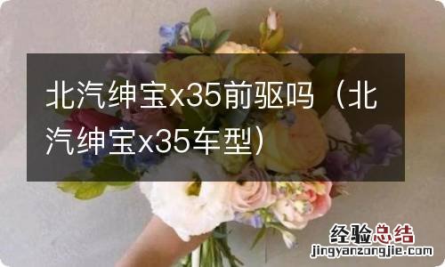 北汽绅宝x35车型 北汽绅宝x35前驱吗