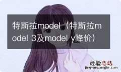 特斯拉model 3及model y降价 特斯拉model