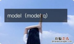 model q model