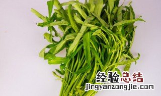 空心菜的栽植方法和技术 空心菜的栽植方法