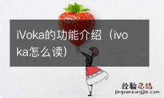 ivoka怎么读 iVoka的功能介绍