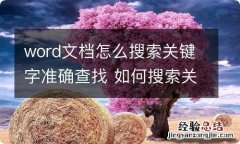 word文档怎么搜索关键字准确查找 如何搜索关键字查找word文档