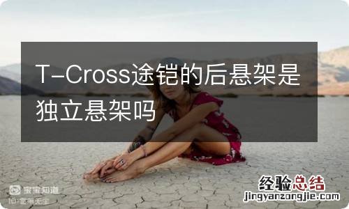 T-Cross途铠的后悬架是独立悬架吗