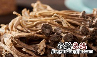 新鲜鹿茸菇要焯水吗 新鲜鹿茸菇要焯水吗怎么做
