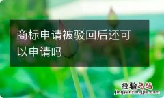 商标申请被驳回后还可以申请吗