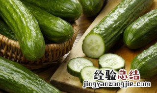 黄瓜籽怎么种 黄瓜籽怎么种植方法