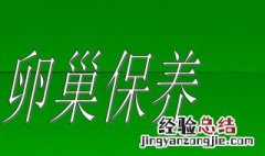 卵巢保养方法 女性卵巢保养方法