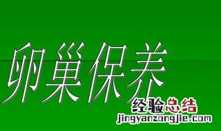 卵巢保养方法 女性卵巢保养方法