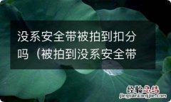 被拍到没系安全带扣多少分? 没系安全带被拍到扣分吗