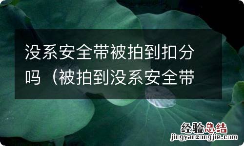 被拍到没系安全带扣多少分? 没系安全带被拍到扣分吗