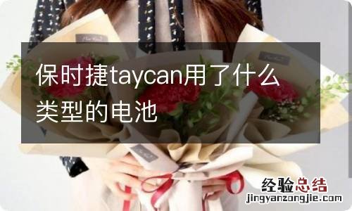 保时捷taycan用了什么类型的电池