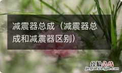 减震器总成和减震器区别 减震器总成